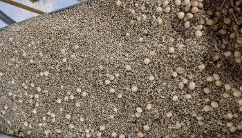 Fraude em carga de soja é descoberta no Porto de Paranaguá