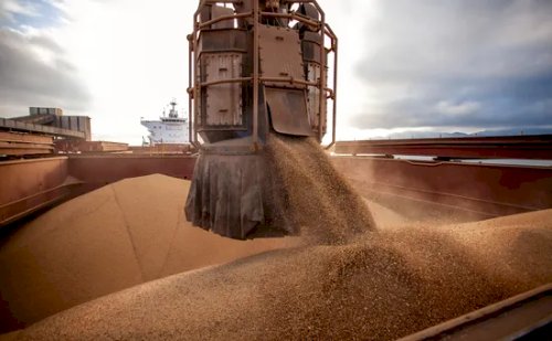 Cargill suspende exportação de soja do Brasil para a China após mudança em inspeção