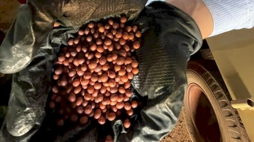 Câmara discute impactos econômicos da pirataria