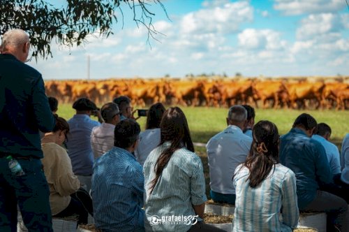 Genética Brangus do Brasil atrai criadores de 11 países