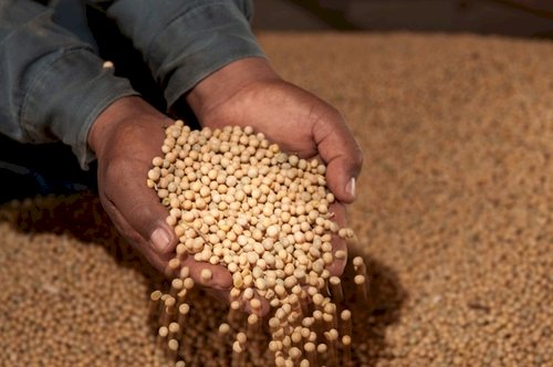 Mercados agrícolas reagem a tensão global