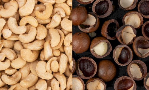 Brasil amplia mercados para o agro na Turquia e Singapura