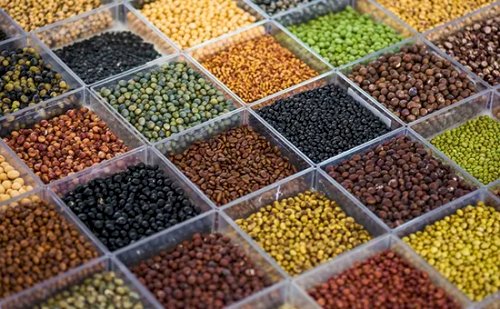 Mercado do feijão tem demanda fraca e preços em queda