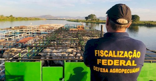 Nova lei amplia adicional de fronteira e moderniza defesa agropecuária em áreas estratégicas