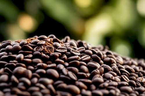 Preço do café arábica sobe, já o robusta cai