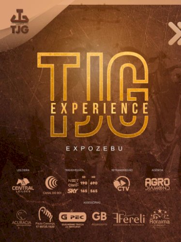 LEILÃO TJG EXPERIENCE