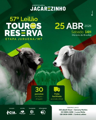 57º LEILÃO TOUROS RESERVA JACAREZINHO - ETAPA MT