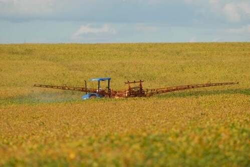 O que Ozempic tem a ver com a soja?