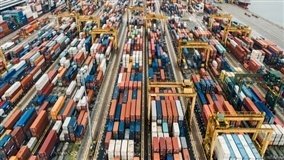 Primeiras cargas de DDGS chegam à China e Brasil envia farinha de vísceras de aves ao país asiático