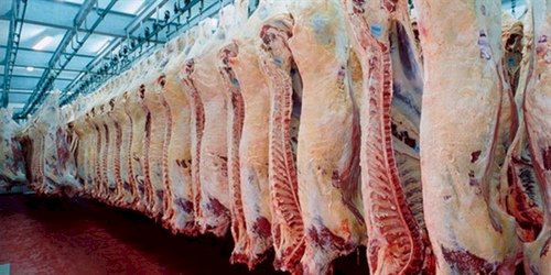 Proteína animal brasileira é tema de rodada de reuniões com o setor de carnes de Bangladesh