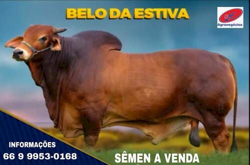 Veja aqui Cotações mista do Agro