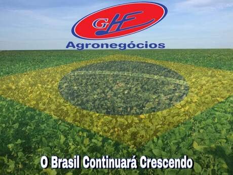 Soja: oferta sustenta liquidez, preços estáveis