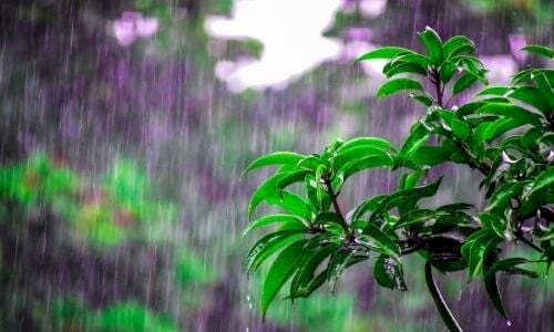Previsão do tempo hoje: chuva forte atinge o Sul e frente fria avança