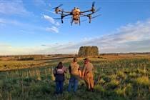 Secretaria da Agricultura valida solução contra carrapato com aplicação por drone nas pastagens