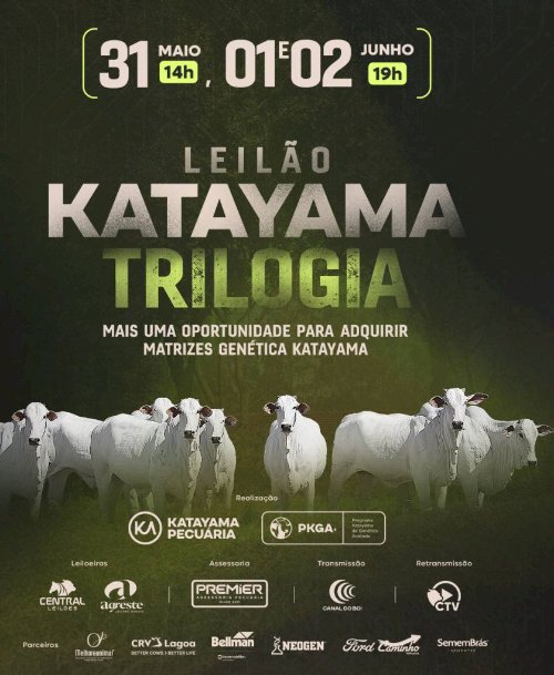 LEILÃO KATAYAMA TRILOGIA