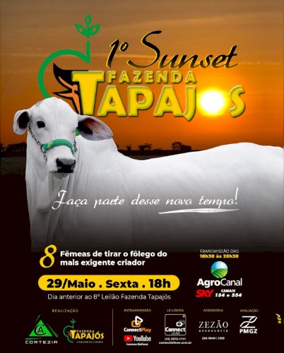 1º LEILÃO SUNSET FAZENDA TAPAJOS