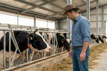 Com 28,4 milhões de trabalhadores, agro registra recorde de empregos em 2025