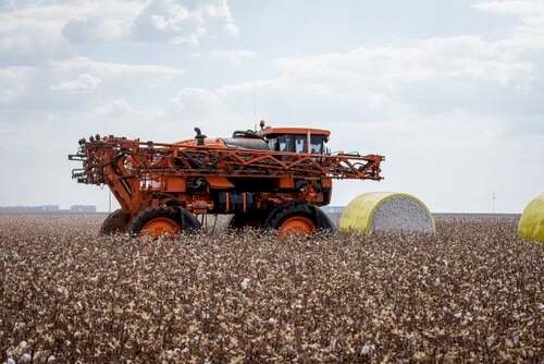 Agronegócio emprega mais de 26? população ocupada no Brasil