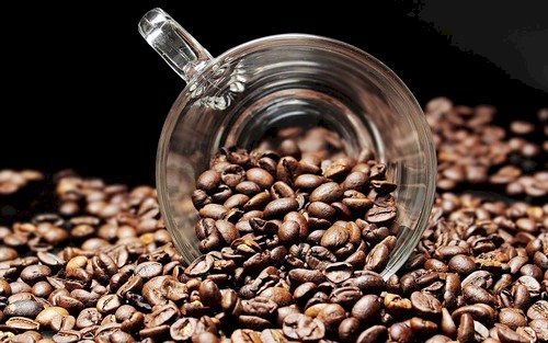 Preços do café seguem em queda