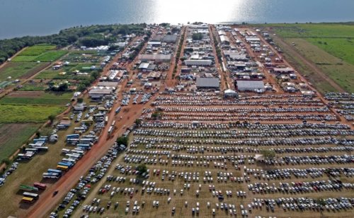 Frísia confirma participação na Agrotins 2026 e celebra 10 anos de atuação no Tocantins