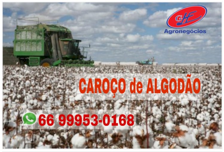 Cotações Agropecuárias