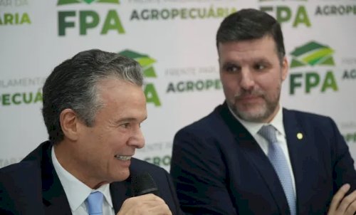 Lupion diz que FPA voltou a construir “ponte de trabalho” com Mapa