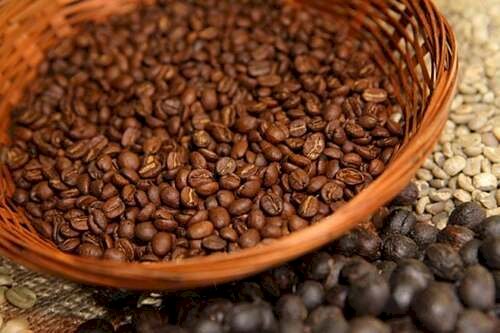 Safra de café segue em lentidão