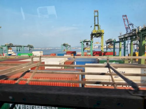 Boi: exportação de carne bovina foi recorde