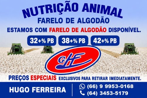 Cotações Agropecuárias