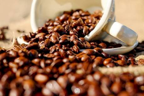 Cotações do feijão disparam enquanto café recua com força