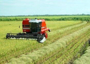 Lagoa da Confusão será palco de encontro estratégico para o fortalecimento da produção de arroz e grãos