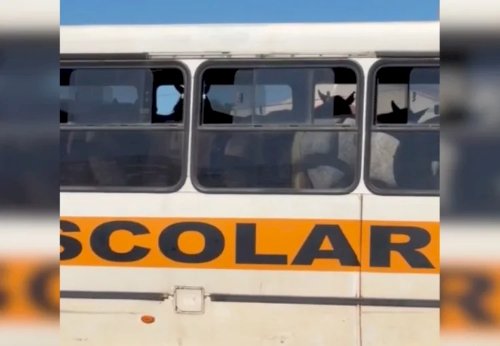 Cena inusitada: cavalos são levados em ônibus para evento no interior do Tocantins