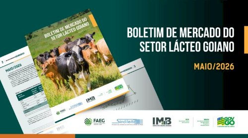 Preços dos derivados lácteos apresentam estabilidade no mercado atacadista goiano em maio