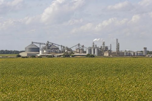 Seguro rural frágil amplia risco para produtores em meio à dívida recorde no campo