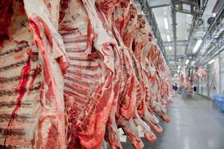 Carne bovina: Brasil exportou 1,36 milhão de toneladas entre jan-maio/26, volume recorde para o período