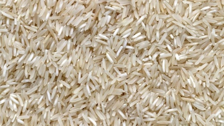 Produtores seguram arroz no RS à espera de preços melhores