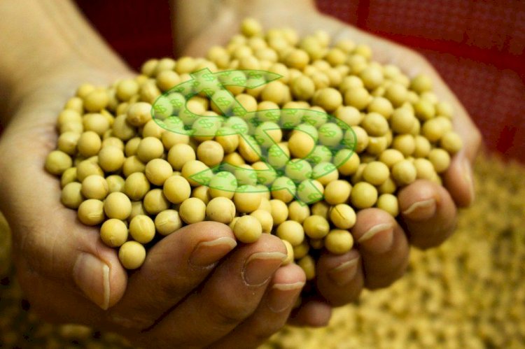 Cotações Agropecuárias