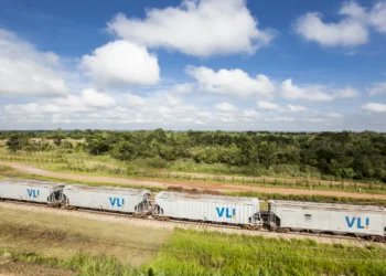 VLI registra recorde na movimentação de grãos e reforça importância do Matopiba para a logística do agro