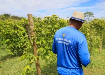 Após sequência de recordes, agro perde 267 mil trabalhadores no Brasil no início de 2026