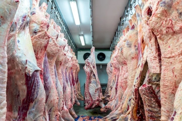 Exportações de carne bovina crescem 5porcento em setembro, mas ainda recuam 32porcento no ano