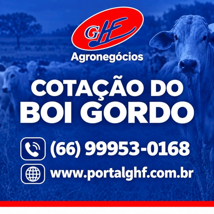 Boi gordo: preços avançam em novas regiões e reforçam tendência de alta