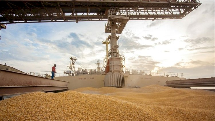 Brasil ameaça liderança agrícola dos EUA após reduzir diferença nas exportações para US$ 2,3 bilhões