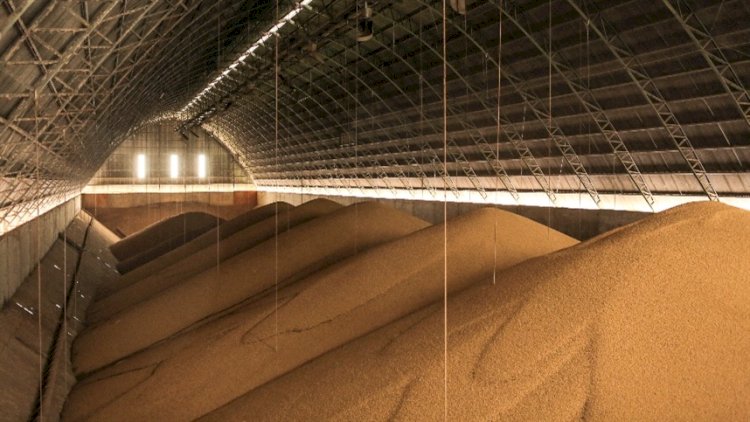 Exportações de farelo de soja reagem em outubro e voltam a superar ritmo de 2025