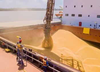 Polícia Federal apreende 50 t de soja adulterada destinadas à exportação no Paraná